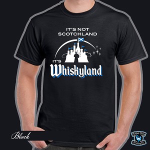 Front<BR><A href=assets/images/11-WL20-K.jpg >Click Here to see larger image on your phone</A> 